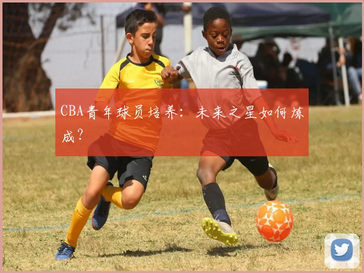 CBA青年球员培养：未来之星如何炼成？