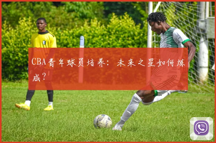 CBA青年球员培养：未来之星如何炼成？